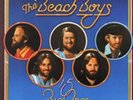 The Beach Boys-15 Big Ones (UK IMPORT) Vinyl / 12