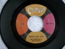 LEE ANDREWS & THE HEARTS NEVER THE LESS ISLAND OF LOVE NORTHERN SOUL