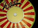 Dandy: We are still rude(Giant records 1967)
