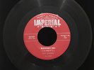 FATS DOMINO BLUEBERRY HILL / HONEY CHILE 45 RPM IMPERIAL RECORDS VG RED LBL