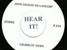 John Cougar Mellencamp 80s ROCK 45 (Riva TEST PRESSING 214) Crumblin' Down  M-