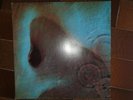 PINK FLOYD - Meddle. lp Stampa Italia RARO