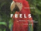 Calvin Harris / Pharrell Williams / Katy Perry - FEELS (Vinyl)