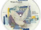 NEW / MINT Madness Wings Of A Dove 7