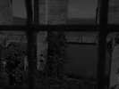 Noise Birds - The Dark Sea Hides a Bright Light [New Vinyl LP]