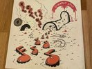 NEU & OVP: King Gizzard & The Lizard Wizard 