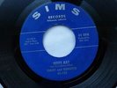 KENNY AND DOOLITTLE 45 'KITTY KAT' USA SIMS KILLER 1961 ROCKABILLY STORMER VG+