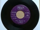 THE HARPTONES Since I Fell For You/Oobie 45 7