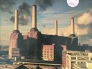 PINK FLOYD:  Animals - Farbige Pressung - Limitiert - PINK  LP VINYL