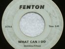 FENTON The Quests What Can I Do And & Shadows In The Night 1967 Michigan Garage