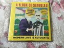 A Flock Of Seagulls - The 12