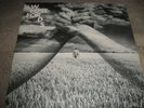 Pink Floyd Lost For Words 7