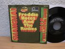 FREDDIE NOTES And The RUDIES Shanghai 7