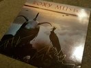 ROXY MUSIC - AVALON LP - SIGNED / AUTOGRAPHED BY ALL 3 MEMBERS - Bryan Ferry