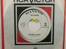 The Olivers RCA 9113 WL Promo I Saw What You Did b/w Beeker Street Garage Rock