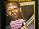 MAGIC SAM BLUES BAND - BLACK MAGIC - U.S.DELMARK VINYL LP DS-620 A/B N/M