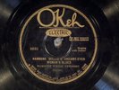 78 RPM -- Hambone Willie Newbern, Okeh 8693, E- Blues