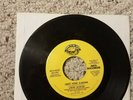 LYNYRD SKYNYRD Sweet Home Alabama/ Take Your Time 45 Sounds of The South