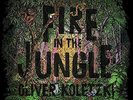 KOLETZKI,OLIVER-FIRE IN THE JUNGLE (UK IMPORT) VINYL LP NEW