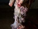 SCOTT HARDWARE: ENGEL (LP vinyl *PRE-ORDER*.)