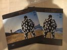 Pink Floyd Delicate Sound Of Thunder (1 and 2)