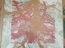 Silversun Pickups Widow’s Weeds Tour Edition Vinyl Rare Sold Out  #76 Of 500 New