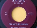 Soul Funk 45 SOUL SHAKERS - You Ain’t My Brother | AMARK —NM