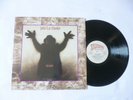 JOHN LEE HOOKER   THE HEALER   EX/NrM   1989 BLUES ROCK VINYL LP   PLAYS WELL