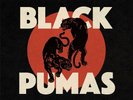 Black Pumas SELF TITLED +MP3s LIMITED New Red/Black Marble Colored Vinyl LP