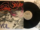 Sonic Youth - Evol - 1986 US 1st Press + Lyrics SST 059 (NM) Ultrasonic Clean