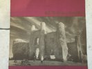 U2 _ The Unforgettable Fire _ Disco Vinile LP 33