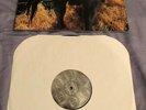 RARE Blink 182 Dude Ranch LP Vinyl Original 1997 1st US Pressing Grilled Cheese