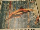 Stone roses fools gold vinyl 45. 90s indie