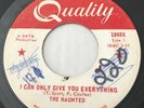 GARAGE PUNK The Haunted I CAN ONLY GIVE YOU EVERYTHING Quality 45 rare Canadian