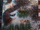 Pink Floyd ?- A Saucerful Of Secrets LP Germany 1975