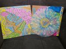 Heavy Heavy Low Low - Turtle Nipple & The Toxic Shock Vinyl LP