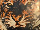 Survivor - Eye Of The Tiger - SCT 85845 - LP Vinyl Record Ex Con