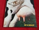 AEROSMITH - GET A GRIP ORIGINAL GEF24444 1993 DUTCH VINYL LP RECORD (ROCK)