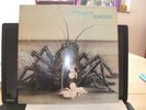 Birth Control Operation , Krautrock, orig germ 1st.Press OHR  OMM 56015  top
