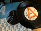 THE BUCKINGHAMS , DON'T YOU CARE , 1967 rock pop