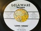 Frantic Chicago Garage Punk Ripper 45 The Delights Long Green EX HEAR