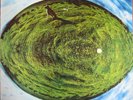 LP Vinile Mike Oldfield Hergest Ridge ITALIA 1974 Virgin VIL 12013