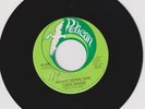70'S SOUL 45 RPM - CURTIS JOHNSON ON PELICAN  RECORDS