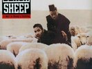 Black Sheep -   A Wolf In Sheep's Clothing -  New Vinyl Record Factory Sealed LP