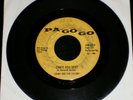 COUNT AND THE COLONY-CAN'T YOU SEE? RARE SIGNED MICHIGAN GARAGE 45 PA GO GO HEAR