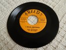 PAUL BALLENGER & FLARES I HEAR THUNDER/PIG REED 1030 M- BIRMINGHAM ROCKABILLY