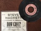 STEVE HACKETT (GENESIS) How Can I -7
