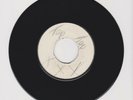 BLANK(FAB)/ TROUBLE A FE YOU - DONALD DIXON (72 REGGAE ROOTS 7