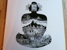 Flower Travellin Band LP Satori UK 2007 Phoenix press INCREDIBLE COPY ASHLP3002