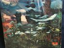 Banchee Thinkin' IN SHRINK USA 1971 Polydor LP VG/NM Psych/Prog/Rock
